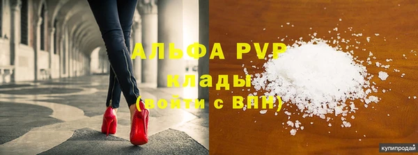 прущий лед Новозыбков