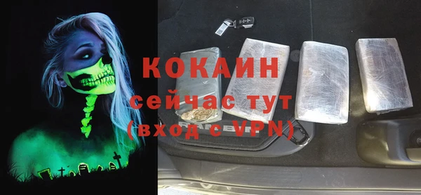 ешки Новодвинск