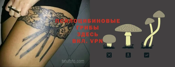 прущий лед Новозыбков