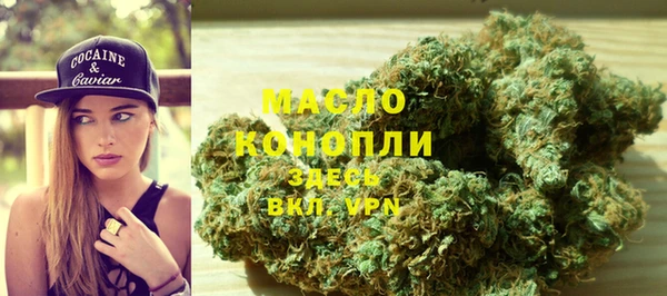 прущий лед Новозыбков