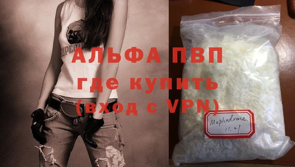 прущий лед Новозыбков