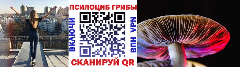 Галлюциногенные грибы GOLDEN TEACHER Хабаровск
